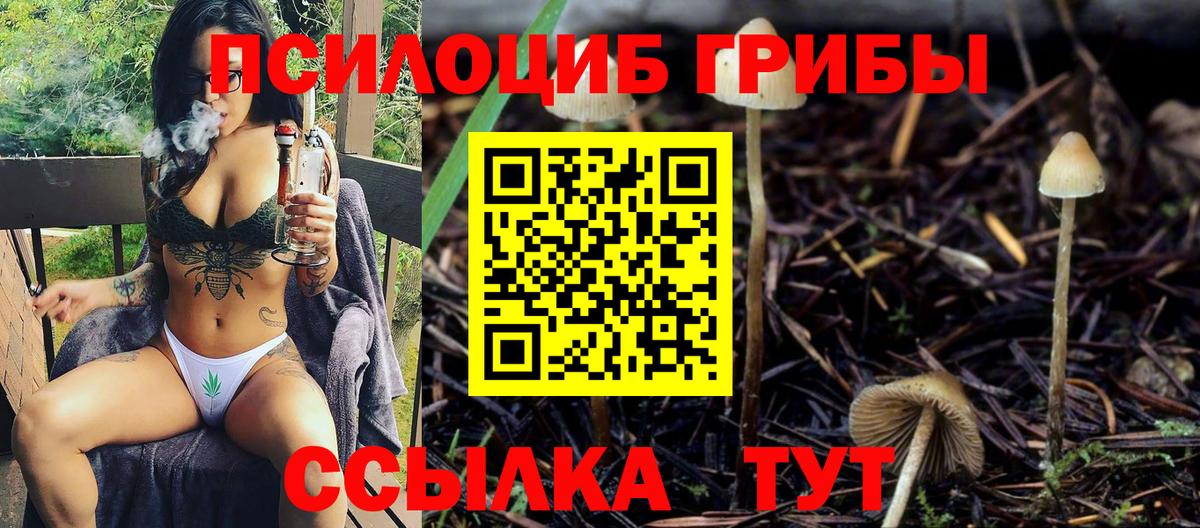 Псилоцибиновые грибы мухоморы Рузаевка